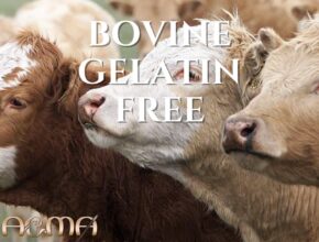 bovine gelatin bse free meaning