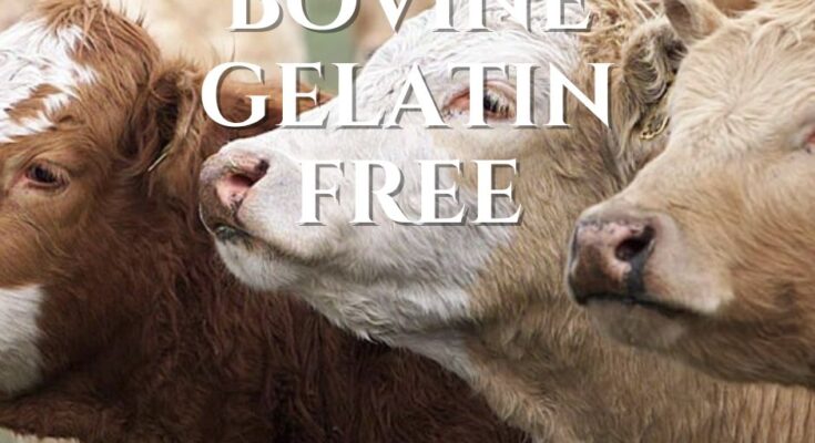 bovine gelatin bse free meaning