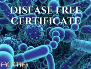 disease free certificate