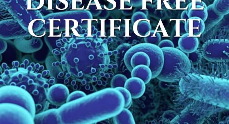 disease free certificate