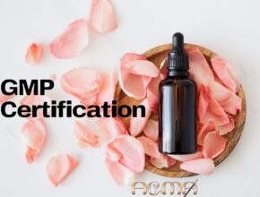 GMP Certification