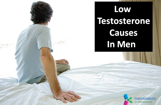 Low Testosterone Causes In Men - The USA Meds
