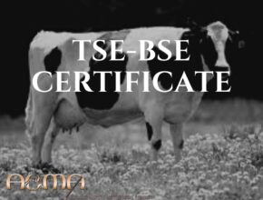 tse-bse certificate