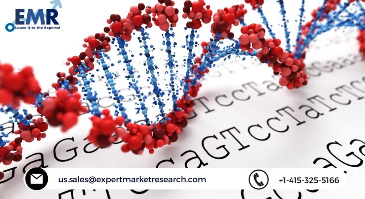 DNA Microarray Market