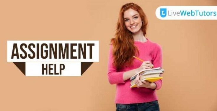 best assignment help provider